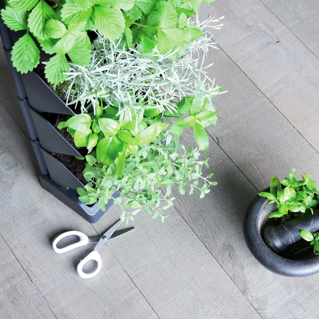 doniczki wertykalne na ścianę