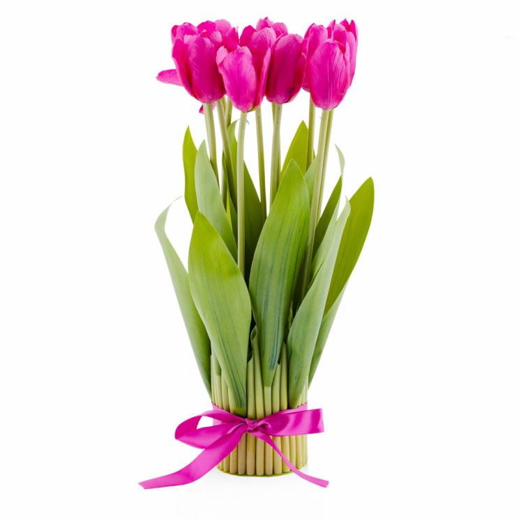 Stroik Tulip