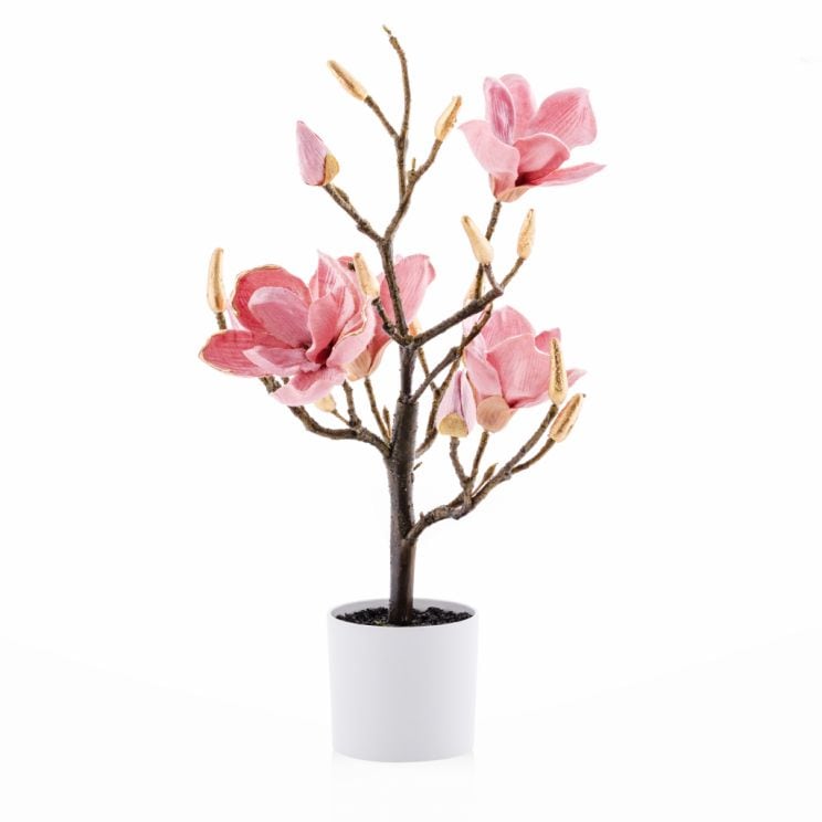 Stroik Magnotree Small