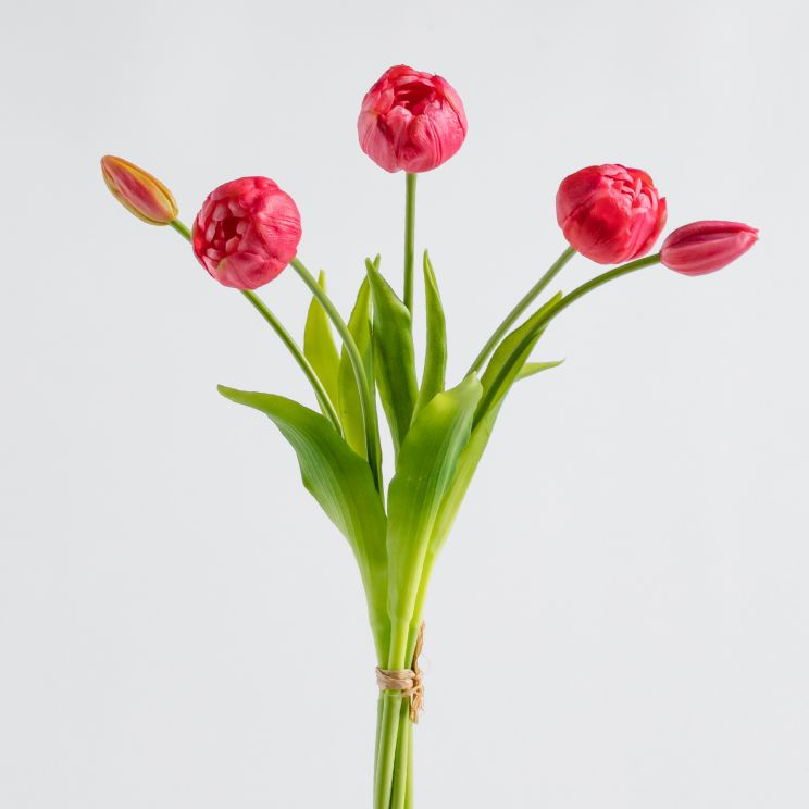 Bukiet Tulipanis